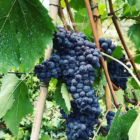 Rocca Di Corno Finale Ligure