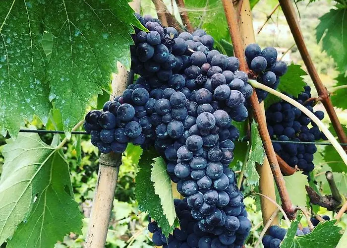 Rocca Di Corno Finale Ligure