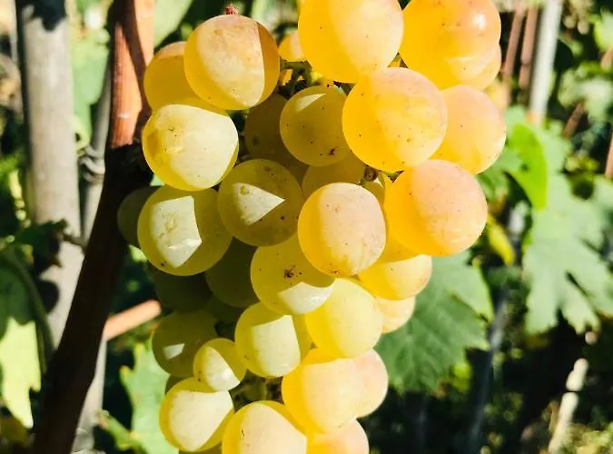 Rocca Di Corno Finale Ligure